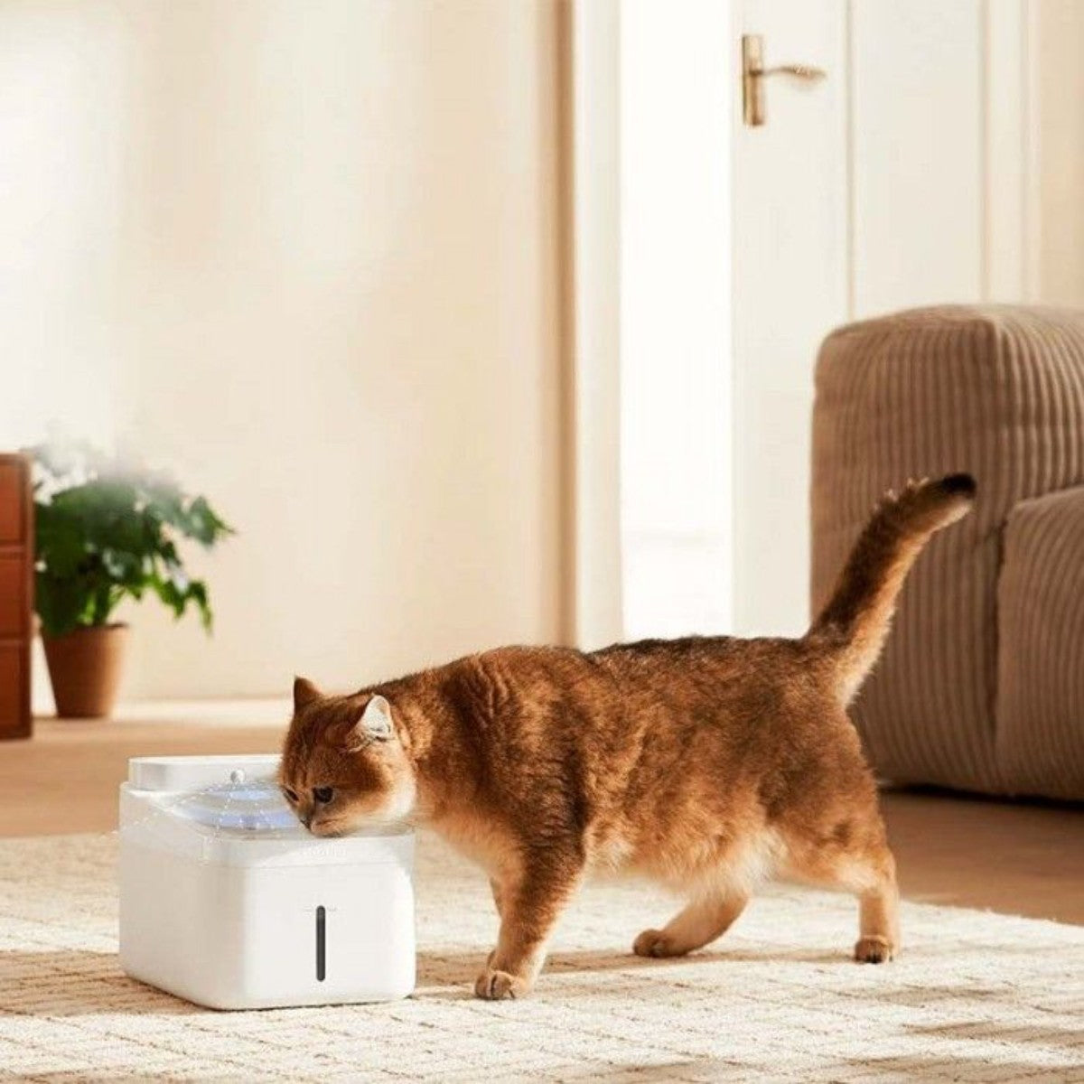 Bebedero para Animales Xiaomi Smart Pet Fountain 2 BHR9485GL - 3L - Blanco