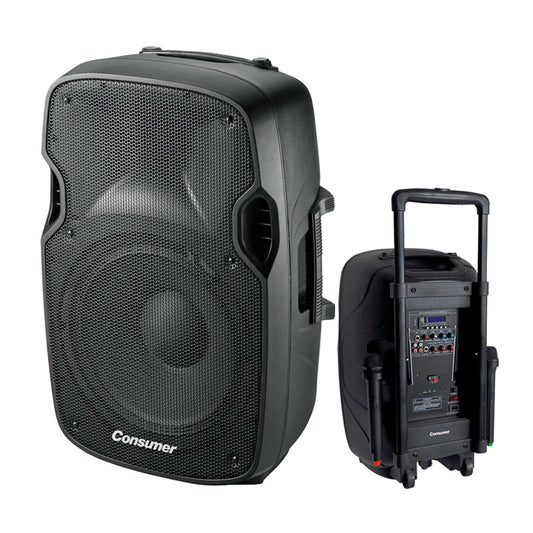 SPEAKER BOX-CONSUMER-12" consumer