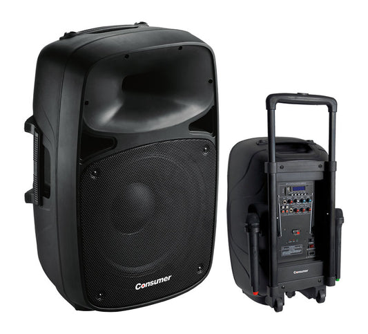 SPEAKER BOX-CONSUMER-15" consumer
